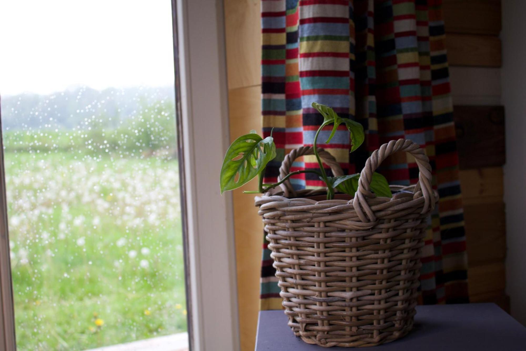 Tiny House Les Jours Heureux Sejour Nature Pres De Dinant Et Des Lacs De L Eau D Heure Villers-le-Gambon 외부 사진